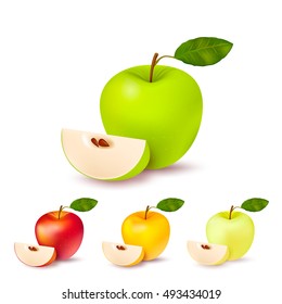 Set of four isolated realistic apples of different colour pearmain each with green leaf and segment with shadows on blank background vector illustration