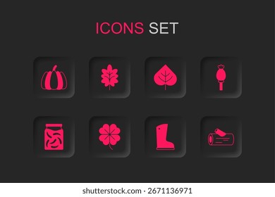 Conjunto Trébol de cuatro hojas, hoja, calabaza, bota de goma impermeable, amapola de opio, tronco de madera y el icono de frasco de pepinos en escabeche. Vector