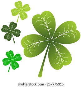 Set of four leaf clover. Vector.