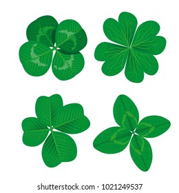Set of four leaf clovers. Realistic vector illustration. Vector EPS10.