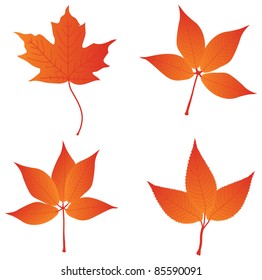 set of four leaves