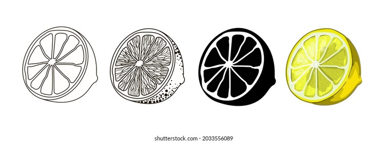 Set of four lemon halves - outline, doodle style, cartoon and black silhouette of a lemon. Stock vector illustration isolated on a white background.