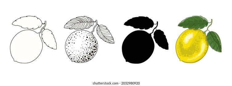 Set of four lemons on a twig with two leaves- outline style, doodle, cartoon and black silhouette of a lemon. Stock vector illustration isolated on a white background.