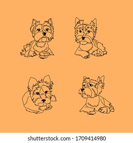 Set of four lying poses of the Yorkshire Terrier. Linear sketches of a small dog