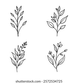 A set of four minimalist hand-drawn botanical illustrations featuring leafy stems, perfect for use in design projects, branding, and home decor.