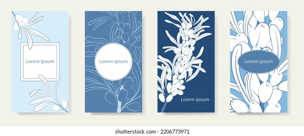 Conjunto de cuatro fondos monocromáticos que representan una rama con bayas en tonos azules. Flora en el diseño de postales, cubiertas, invitaciones, etiquetas, volantes.