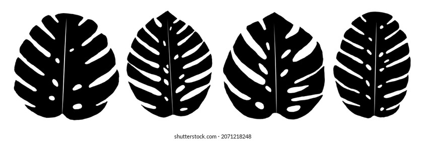 Set of four monstera leaves. Black silhouette of monstera leaves. Isolated on white background.