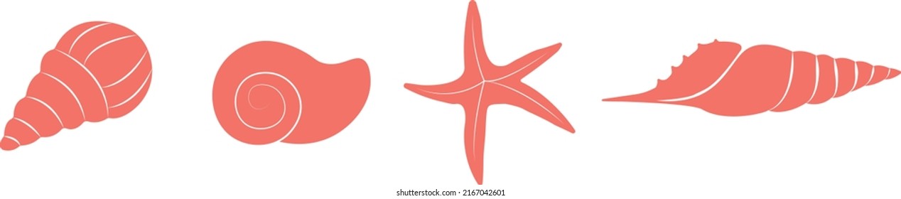 Set of four ocean animals. Isolated vector shells on white background.