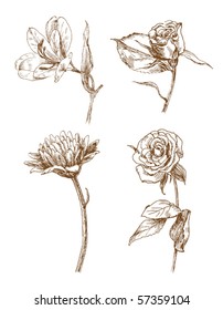 set of four old-styled vector flowers.