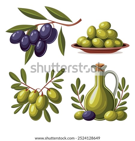 A set of four olive-themed illustrations. A branch of black olives, green olives, a plate of olives, and olive oil. All images are done in the same style and color scheme.