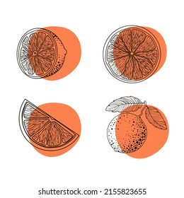 Set of four oranges - round slices, on a twig, half and piece in black doodle style on an orange spot background. Citrus. Minimalistic style. Illustration isolated on white background