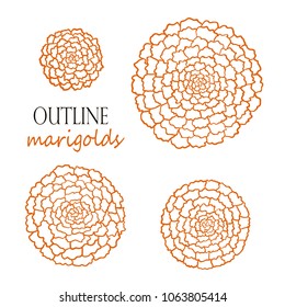 Set of four outline orange marigolds