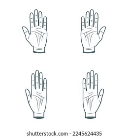 Set of four palmistry hands. Hand drawn vector illustration  isolated on white background.