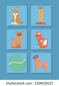 set of four pets and toys