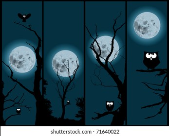 Set of four pictures from the night with owl and moonlight