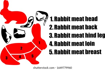 A set of four pieces of rabbit meat, the silhouette of a rabbit and the method of cutting the carcass. Part of the meat. Vector illustration.