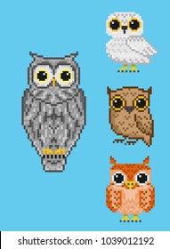 A set of four pixel owls. For games and mobile applications.