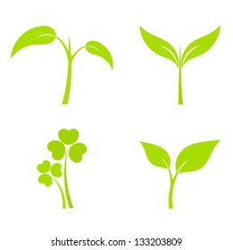 Set of four plant or leaf icons. Vector illustration