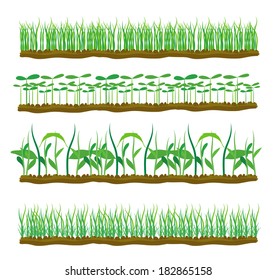 Set of four plant or leaf icons