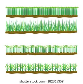 Set of four plant or leaf icons