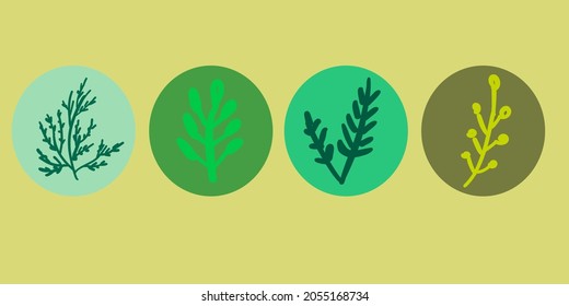 Set of four plant vector illustration. Isolated circles on the beige background. Tree branches in different blue, green, deep green and turquoise circles. Botanical vector.