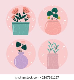 set of four plants on pots