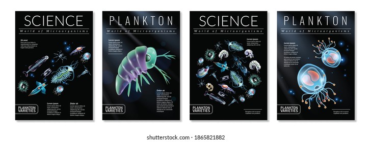 Set of four posters on theme of plankton varieties as template for magazine articles brochures book covers vector illustration