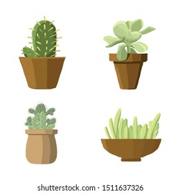 Set of four potted cacti