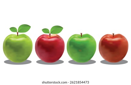 Set of four realistic red and green apples with leaves, fresh fruit vector illustration, healthy food and nutrition design for and digital use.
