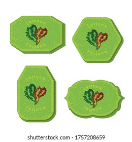 Set with Four Rectangular Labels for Lettuce with Texture. Different types of Labels or Stickers for Food Market with Colored Image of Red and Green Lettuce. Vector EPS 10 Vector Illustration.