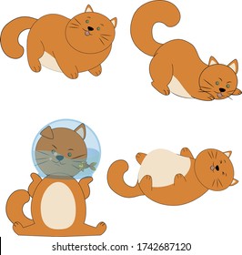 Set of four red cats in different poses isolated on a white background.