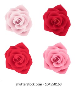 Set of four roses of various colors. Vector illustration.