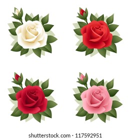 Set of four roses of various colors. Vector illustration.