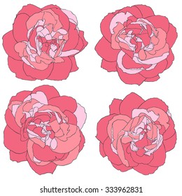 Set of four roses of various colors. Vector illustration. Rose set, hand drawn ink illustration of four roses, pink and red floral elements for your design
