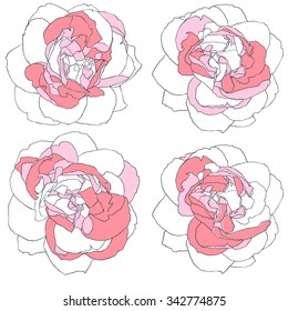 Set of four roses of various colors. Vector illustration. Rose set, hand drawn ink illustration of four roses, pink and red floral elements for your design.