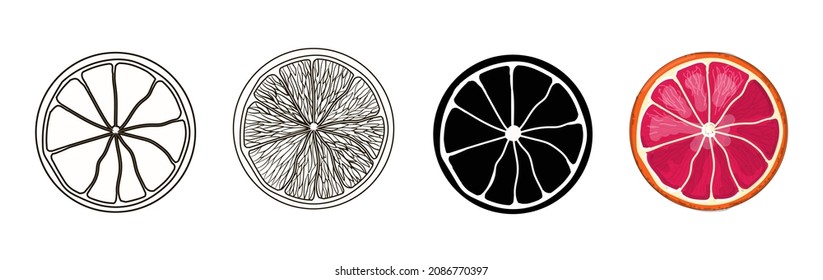 Conjunto de cuatro rodajas redondas de pomelo: estilo de contorno, garabato, dibujos animados y silueta negra de pomelo. Ilustración vectorial de material aislada en un fondo blanco.