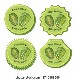 Set with Four Round Labels for Nappa Cabbage Isolated on White Background. Different types of Labels or Stickers for Food Market with Colored Image of Napa. Vector EPS 10 Vector Illustration.