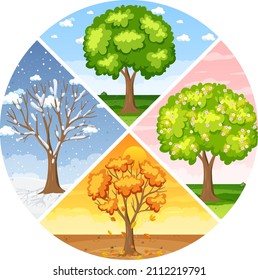 Set of four seasons backgrounds illustration