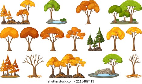 Conjunto de cuatro estaciones árboles y ilustración de objetos naturales