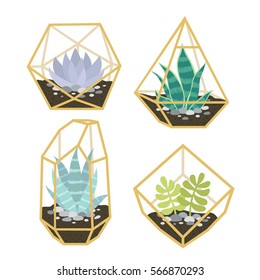 set of four of simple geometric terrariums with plants. geometric terrariums with succulent. can be used like stickers, pins, patches or for posters and greeting cards