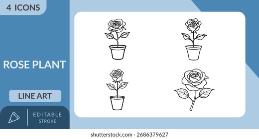 Set of four simple line art icons featuring rose plants and a single rose. Ideal for nature, garden, and floral designs.