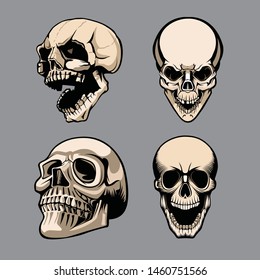 A set of four skulls in different positions.