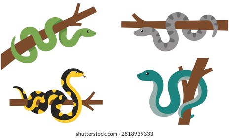 Set of four stylized cartoon snakes in different colors, green, grey, yellow and black, and turquoise, coiled on tree branches. Isolated on white.