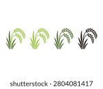 A set of four stylized rice plant icons showing different color variations and a silhouette