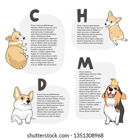 Set with four templates, gray shapes with text and cute corgis, isolated object, vector illustrations 