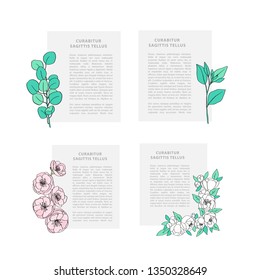 Set with four templates, grey rectangles with text and floral and herbal elements 