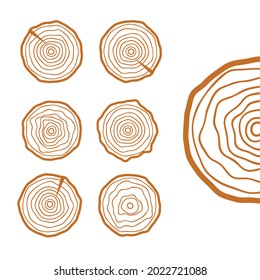 set of four tree rings icons. concept of saw cut tree trunk, forestry and sawmill