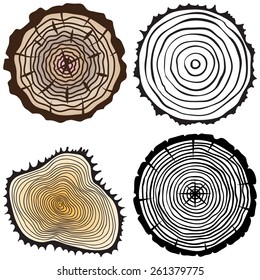 Set of four tree rings icons. concept of saw cut tree trunk, forestry and sawmill. Isolated on white background. Logo design trendy modern vector illustration.