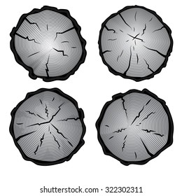 Set of four tree rings icons.  Isolated on white background.Vector  illustration
