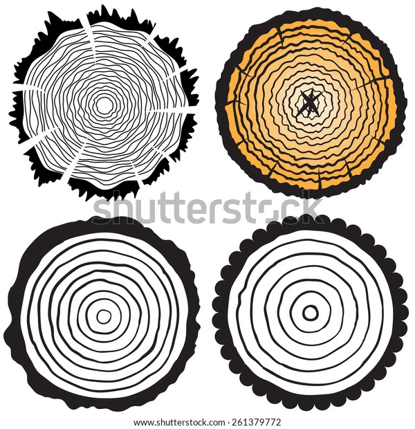 Clip Art Of Tree Ring ~ PNG-clipart